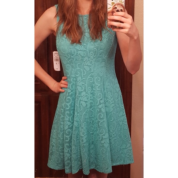 Studio One Green Lace Mini Dress - Picture 5 of 5